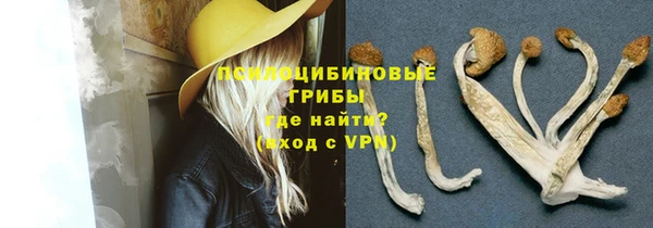 ECSTASY Нефтекумск