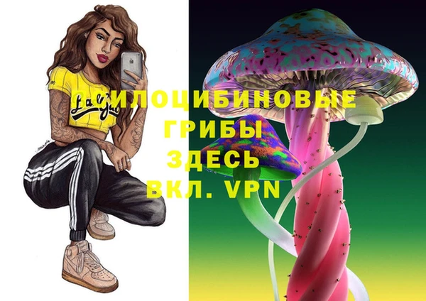 соль курить ск Наволоки