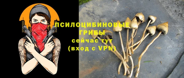 МДПВ Бронницы