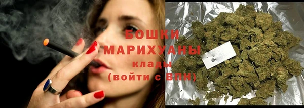 тгк Нея