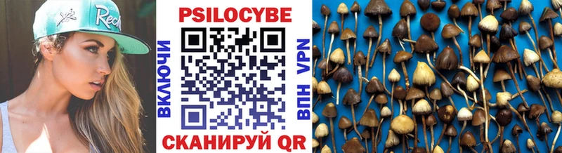Псилоцибиновые грибы Cubensis  закладка  Десногорск 